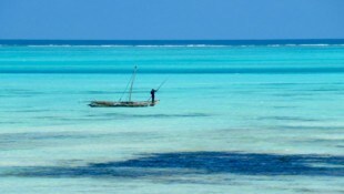Sansibar: Die Landschaft mutet paradiesisch an. Kein Wunder, dass die burgenländische Autorin ...
