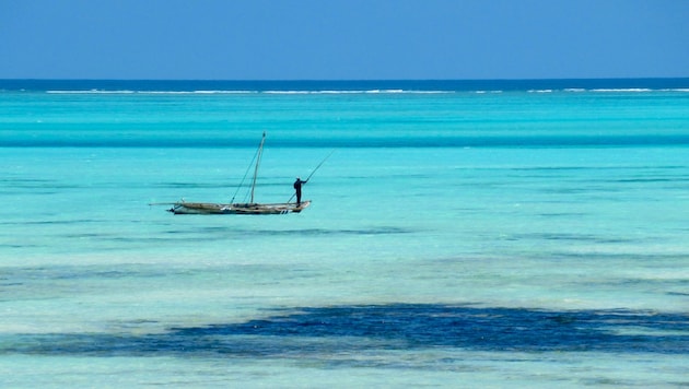Sansibar: Die Landschaft mutet paradiesisch an. Kein Wunder, dass die burgenländische Autorin ...