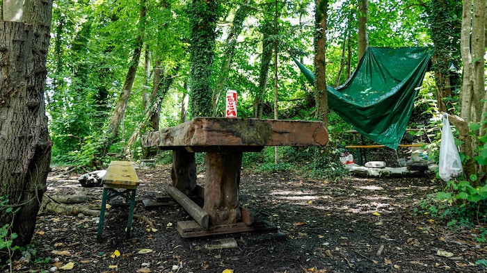 Die drei Gruppen haben sich ein Lager im Wald aufgebaut.