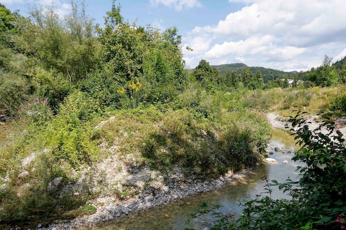 In dem renaturierten Naturjuwel trügt die Idylle derzeit.