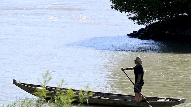 Auf der Donau kam es zu dem Unfall (Symbolbild).