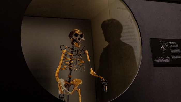 Sie ist bis zum 23. Oktober zu sehen.