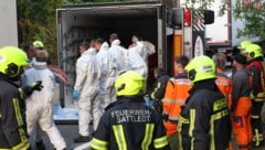 Firmenmitarbeiter halfen bei der Bergung.
