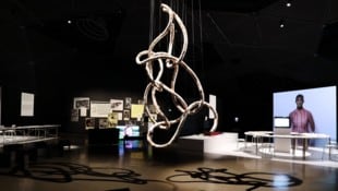 Im Grazer Kunsthaus erkundet Milica Tomić politische Konflikte aus sehr persönlicher Sicht.