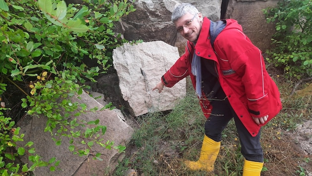 Geologe Dr. Sebastian Specht vom Bayrischen Landesamt für Umwelt zeigt auf den Schädel eines ...