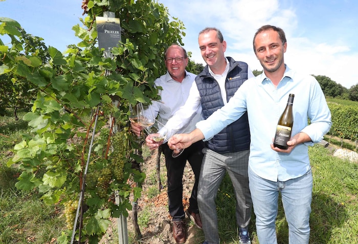 Weinbaupräsident Andreas Liegenfeld, Wein-Burgenland-Obmann Herbert Oschep und Winzer Georg ...