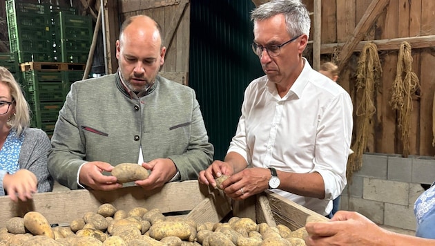 Frische Erdäpfel: Landwirt Markus Mayer und Bauernbund-Präsident Strasser testen die Ernte.