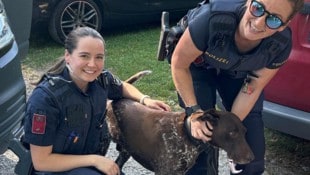 Die beiden Polizistinnen mit „Magic“, dem sie wohl das Leben gerettet haben