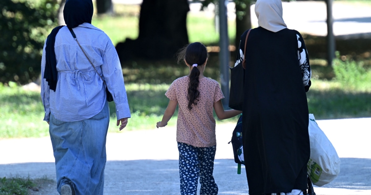 Social assistance reform: German course and 13 weeks of work to secure full amount