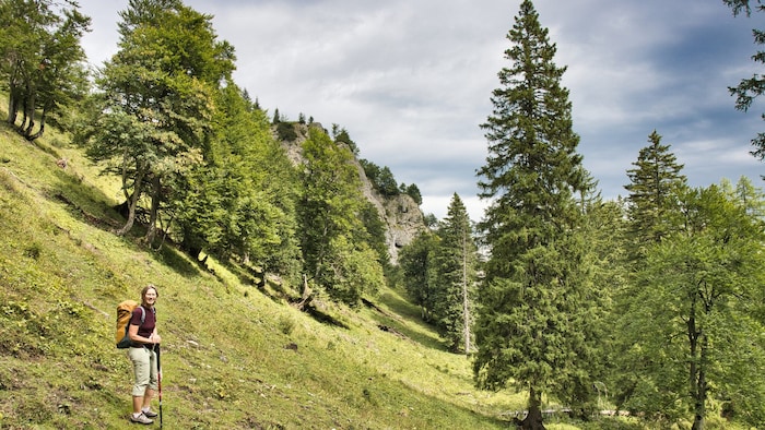 Durchatmen und die Schönheit unserer Natur genießen.