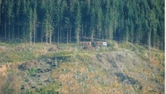 Jeden Tag bringen Lkw-Züge Schadholz aus den Wäldern des Lesachtales.