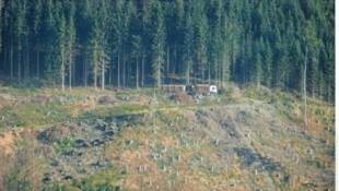 Jeden Tag bringen Lkw-Züge Schadholz aus den Wäldern des Lesachtales.