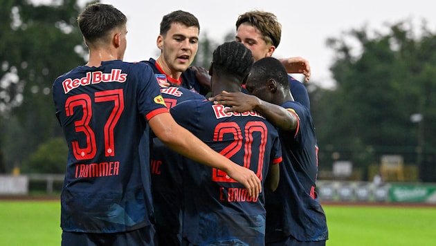 Salzburg mühte sich in die nächste Runde