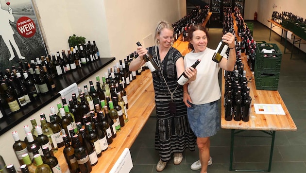 770 Weine! So viele Kostproben wie noch nie sind diesmal für die Prämierung der Rot-Goldenen ...