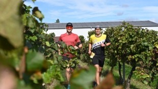 Mitmachen und Laufen in der Weinregion.