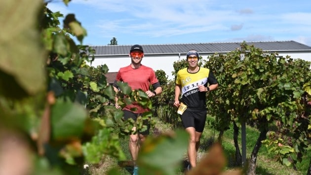 Mitmachen und Laufen in der Weinregion.