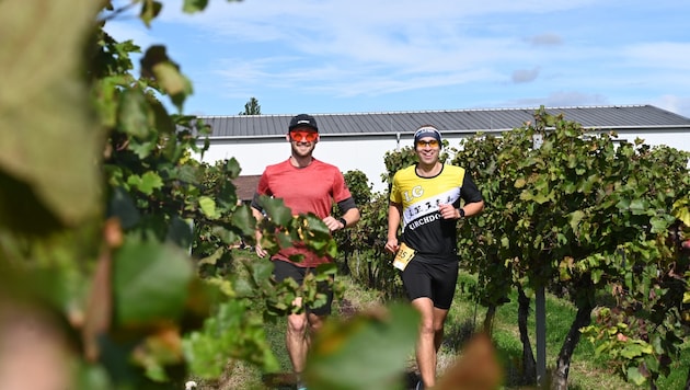 Mitmachen und Laufen in der Weinregion.