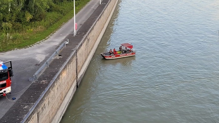 Ein Einsatzboot nahm das Tier auf.