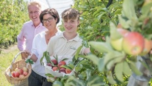 Am Hof der Familie Reiter aus Gleisdorf hat die Apfelernte bereits begonnen. Von links: Thomas, ...