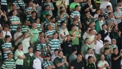 Die Fans von Celtic Glasgow haben vom Vorstand die Nase voll.