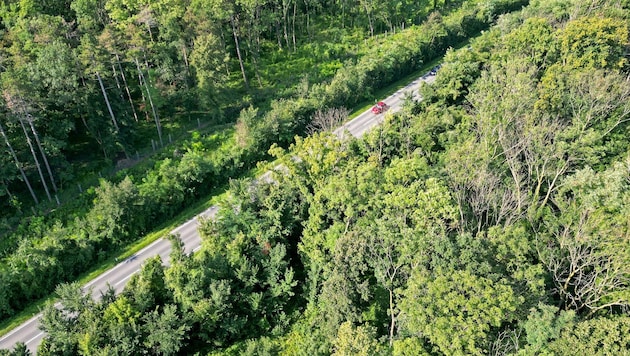 Juni und August waren laut der GeoSphere Austria zu trocken (im Bild Leopoldsdorf im ...