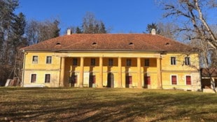 Der Kastellverein Sulz drängt auf die Rückabwicklung, der neue Besizer will das ...