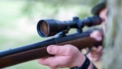 Der betagte Jäger soll den Border Collie mit einem Fuchs verwechselt haben.