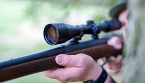 Der betagte Jäger soll den Border Collie mit einem Fuchs verwechselt haben.