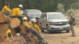 Während die Feuerwehr im Wald mit Arbeiten beschäftigt war, rückten Bundespolizisten an.