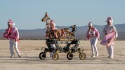 Ein Roboter, der wie ein Lama aussieht und ein KI-Hirn hat, geht wandern