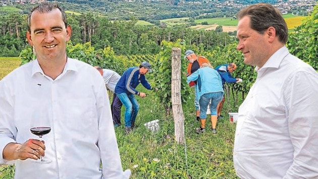 Oschep (li.) und Totschnig ringen um die Zukunft des Weinbaus. Der ÖVP-Minister hat aber selbst ...