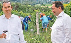 Oschep (li.) und Totschnig ringen um die Zukunft des Weinbaus. Der ÖVP-Minister hat aber selbst ...