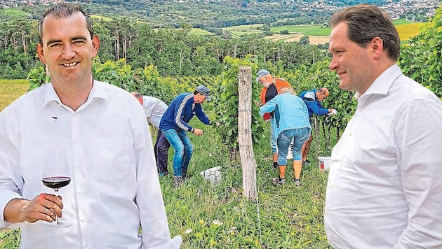 Oschep (li.) und Totschnig ringen um die Zukunft des Weinbaus. Der ÖVP-Minister hat aber selbst ...