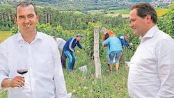 Oschep (li.) und Totschnig ringen um die Zukunft des Weinbaus. Der ÖVP-Minister hat aber selbst ...