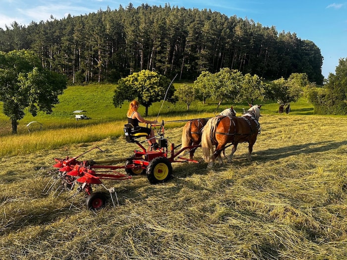 Im Sommer half Veronika Aigner auch bei der Heuernte.