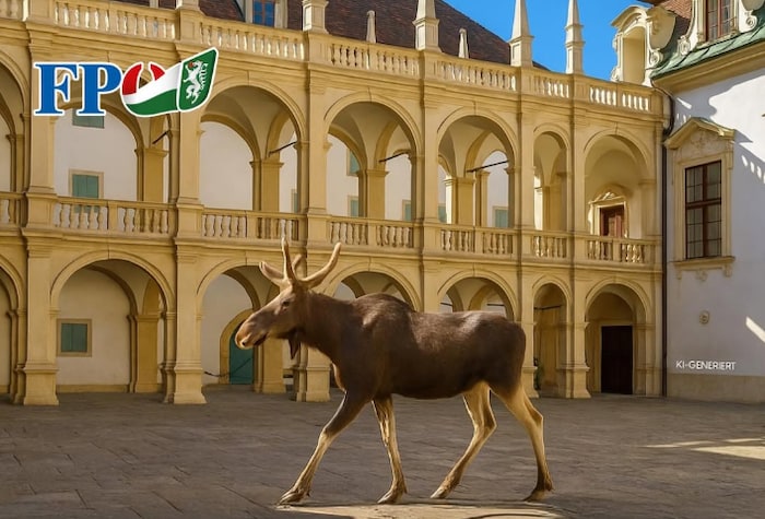 Marco Triller ließ den Elch durch den Landhaushof spazieren.