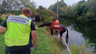 Die Feuerwehr Winklarn musste ausrücken, um ein Pferd zu bergen, das sich nicht mehr selber ...