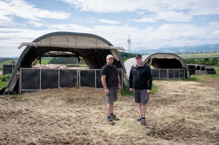 Die Brüder Hubmann setzen auf unkonventionelle Schweinehaltung und geraten damit immer wieder in ...