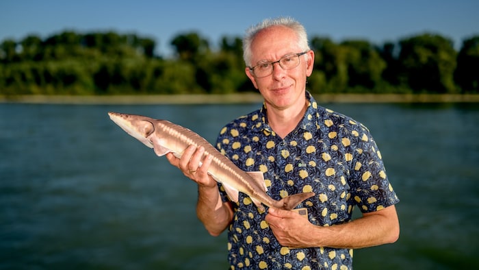 Prof. Hein mit einem Plüsch-Stör.
