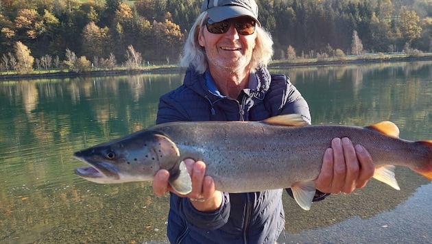 Ein Huchen – dieser Fisch lebt in der Möll, ist aber gefährdet.