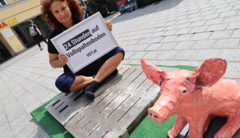 Tierschützerin sitzt 24 Stunden auf einem Vollspaltenboden in der Innsbrucker ...