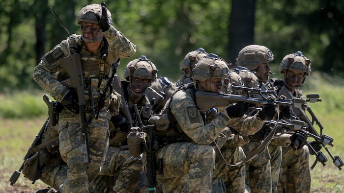 Military build-up is the order of the day throughout Europe.