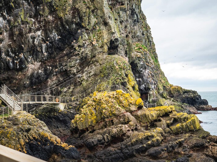 The Gobbins Cliff Path, Islandmagee, Co