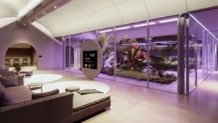Lounge-Möbel mit Blick auf den Hydroponik-Garten mit LED-“Sonne“, ein HD-Display zur ...