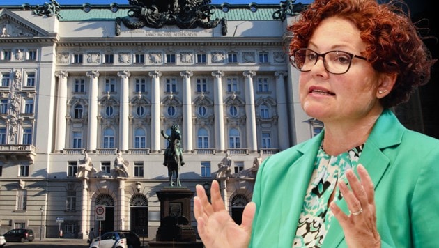 ÖVP-Staatssekretärin Elisabeth Zehetner musste ihr Büro um rund 20.000 Euro renovieren lassen.