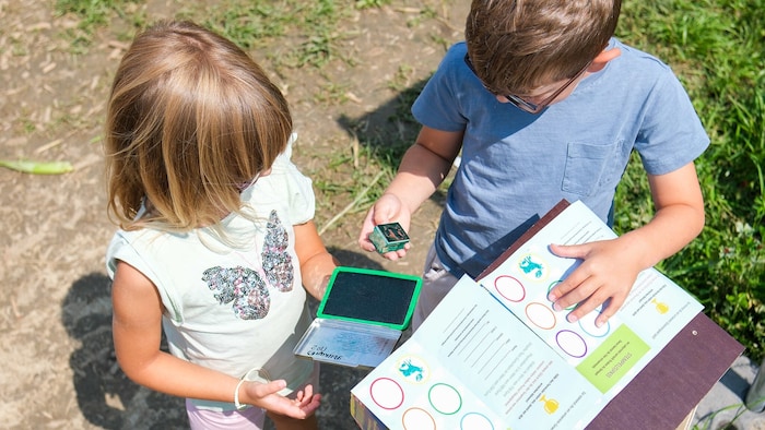 Lieben die Kids: Die bunten Tierstempel in Wilhering.