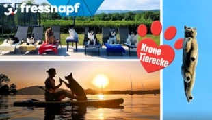 Am Siegespodest: Drei Schnappschüsse mit Geschichte.