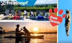Am Siegespodest: Drei Schnappschüsse mit Geschichte.