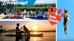 Am Siegespodest: Drei Schnappschüsse mit Geschichte.