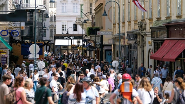 Die vergangenen zwei Jahre verzeichnete der Wiener Handel Rückgänge um 4,9 bzw. 2,3 Prozent – ...